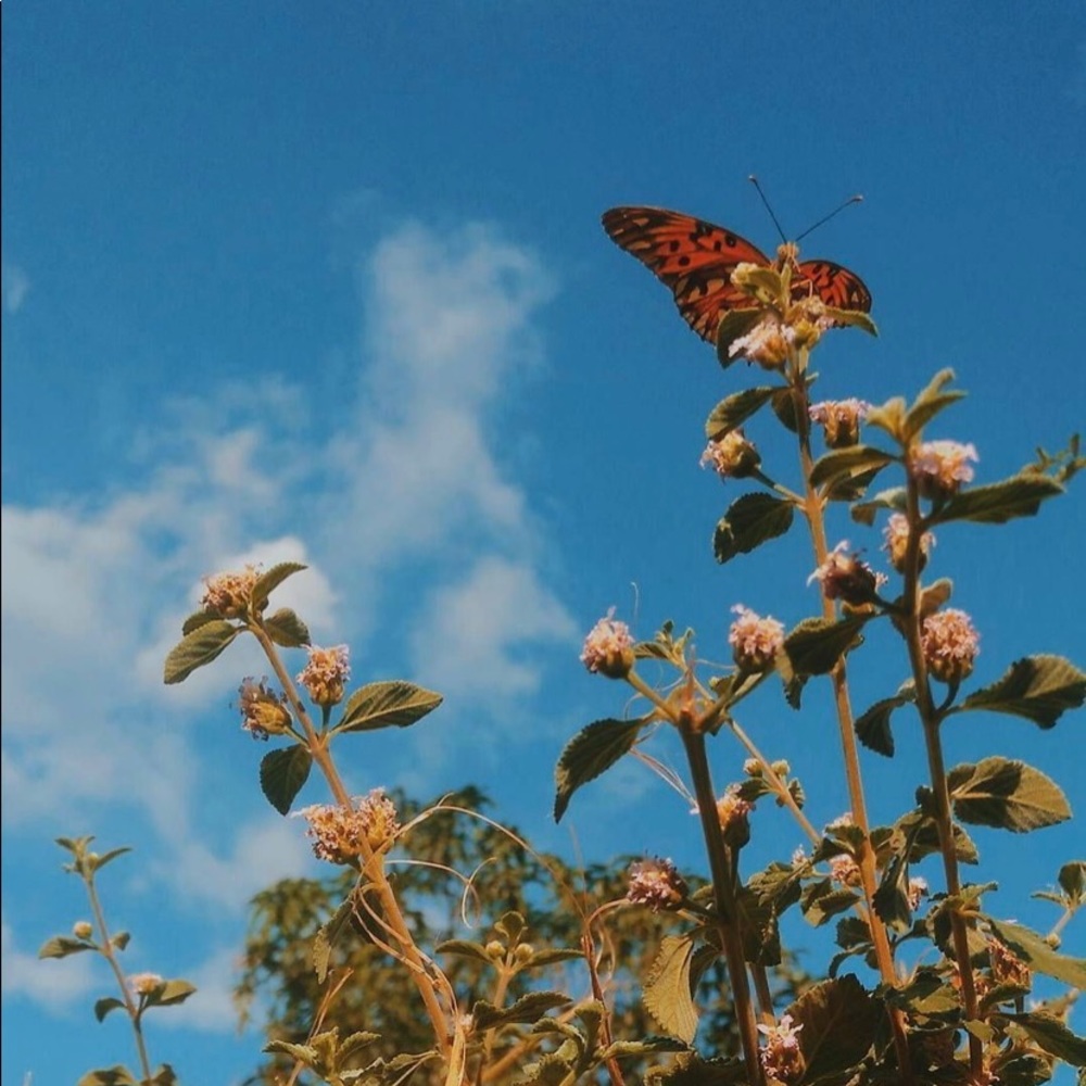 Meet your Posher, Helena